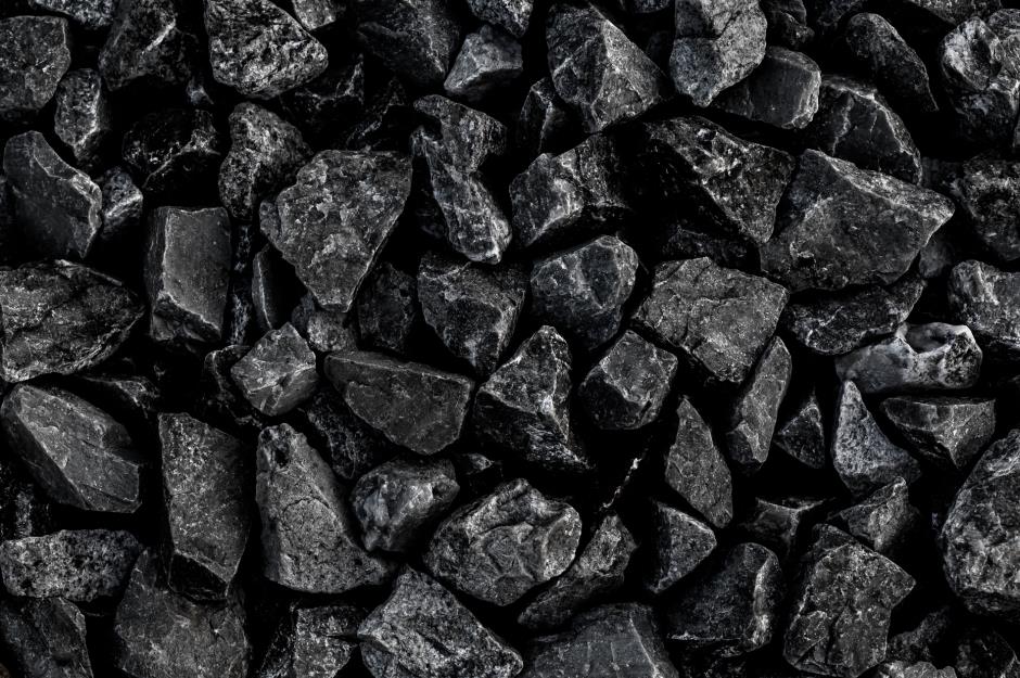China halts coal imports